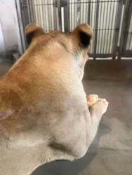 天王寺動物園に投稿された画像（2026/5/22）