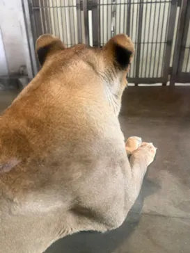 天王寺動物園に投稿された画像（2026/5/22）