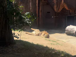 天王寺動物園に投稿された画像（2026/5/22）