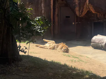 天王寺動物園に投稿された画像（2026/5/22）