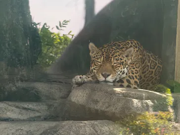 天王寺動物園に投稿された画像（2026/5/22）