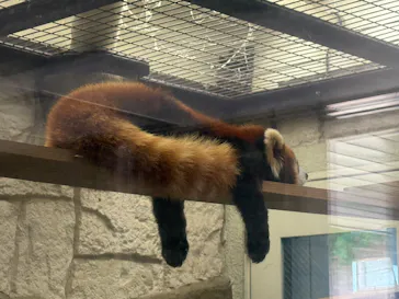 天王寺動物園に投稿された画像（2026/5/22）