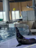 アクアワールド茨城県大洗水族館に投稿された画像（2026/5/22）