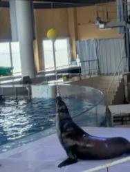 アクアワールド茨城県大洗水族館に投稿された画像（2026/5/22）