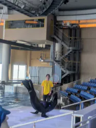 アクアワールド茨城県大洗水族館に投稿された画像（2026/5/22）