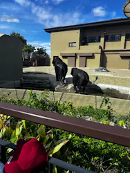 天王寺動物園に投稿された画像（2026/5/22）