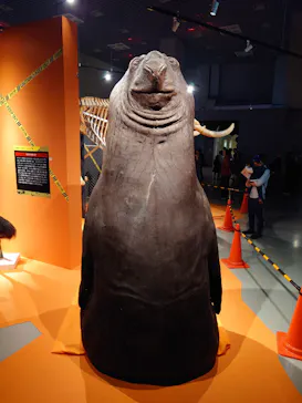 特別展「超危険生物展　科学で挑む生き物の本気」に投稿された画像（2026/5/22）