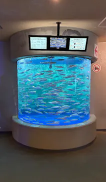 しながわ水族館に投稿された画像（2026/5/22）