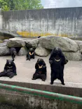 奥飛騨クマ牧場に投稿された画像（2026/5/23）