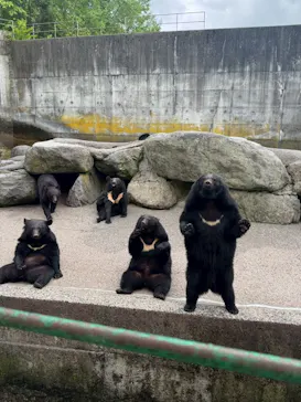 奥飛騨クマ牧場に投稿された画像（2026/5/22）