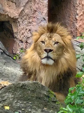名古屋市東山動植物園に投稿された画像（2026/5/22）