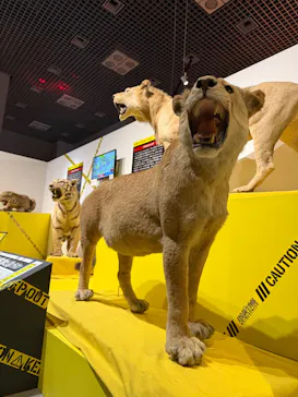 特別展「超危険生物展　科学で挑む生き物の本気」に投稿された画像（2026/5/23）