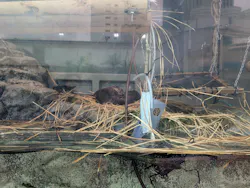 サンシャイン水族館に投稿された画像（2026/5/23）