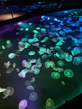 すみだ水族館に投稿された画像（2026/5/23）