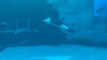 名古屋港水族館に投稿された画像（2026/5/23）