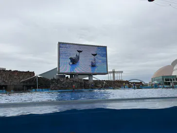 名古屋港水族館に投稿された画像（2026/5/23）