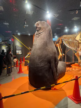 特別展「超危険生物展　科学で挑む生き物の本気」に投稿された画像（2026/5/23）