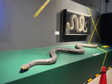 特別展「超危険生物展　科学で挑む生き物の本気」に投稿された画像（2026/5/23）