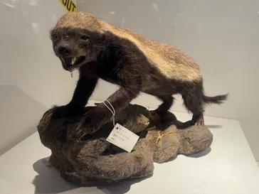 特別展「超危険生物展　科学で挑む生き物の本気」に投稿された画像（2026/5/23）