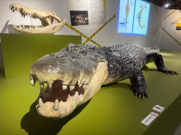 特別展「超危険生物展　科学で挑む生き物の本気」に投稿された画像（2026/5/23）