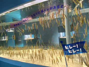 AOAO SAPPOROに投稿された画像（2026/5/23）
