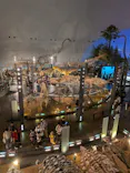 福井県立恐竜博物館に投稿された画像（2026/5/23）