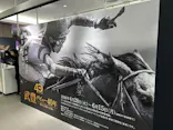 武豊 デビュー40年 ～前人未到の記録～　（銀座三越）に投稿された画像（2026/5/23）