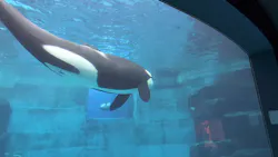 名古屋港水族館に投稿された画像（2026/5/23）