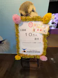 ミュージアムパーク茨城県自然博物館に投稿された画像（2026/5/23）