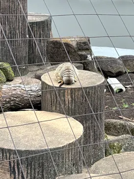 井の頭自然文化園に投稿された画像（2026/5/23）