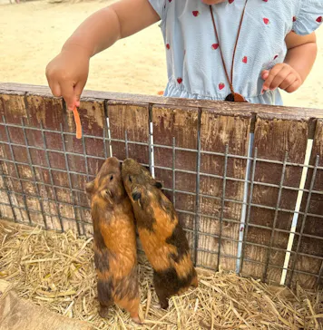 しろとり動物園に投稿された画像（2026/5/23）