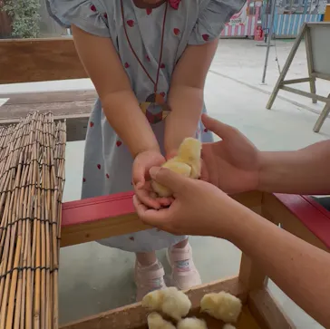 しろとり動物園に投稿された画像（2026/5/23）