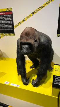 特別展「超危険生物展　科学で挑む生き物の本気」に投稿された画像（2026/5/23）