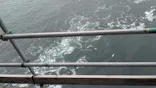 徳島県立 渦の道に投稿された画像（2026/5/23）