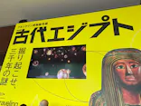 あべのハルカス美術館に投稿された画像（2026/5/23）