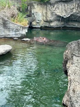 天王寺動物園に投稿された画像（2026/5/23）