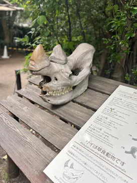 天王寺動物園に投稿された画像（2026/5/23）