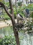 天王寺動物園に投稿された画像（2026/5/23）
