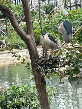 天王寺動物園に投稿された画像（2026/5/23）