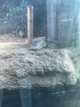 天王寺動物園に投稿された画像（2026/5/23）