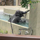 天王寺動物園に投稿された画像（2026/5/23）