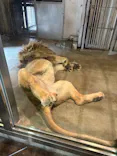 天王寺動物園に投稿された画像（2026/5/23）