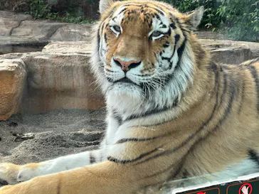 那須どうぶつ王国に投稿された画像（2026/5/23）