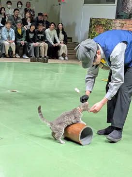 那須どうぶつ王国に投稿された画像（2026/5/23）