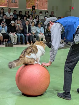 那須どうぶつ王国に投稿された画像（2026/5/23）