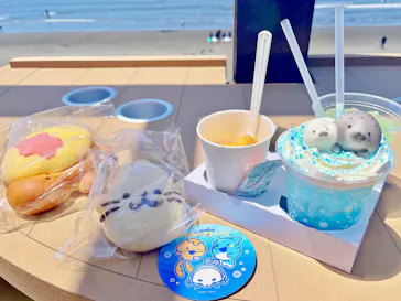 新江ノ島水族館に投稿された画像（2026/5/23）
