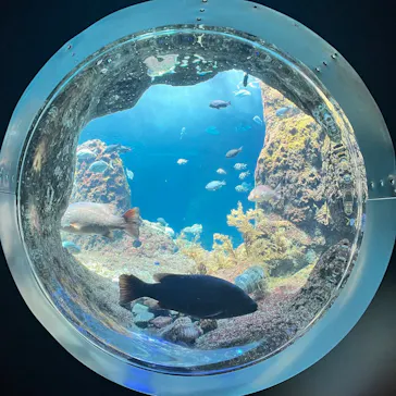 新江ノ島水族館に投稿された画像（2026/5/23）