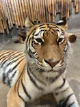 いしかわ動物園に投稿された画像（2026/5/23）