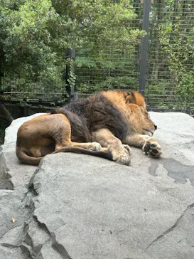 いしかわ動物園に投稿された画像（2026/5/23）