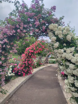 万博記念公園に投稿された画像（2026/5/23）